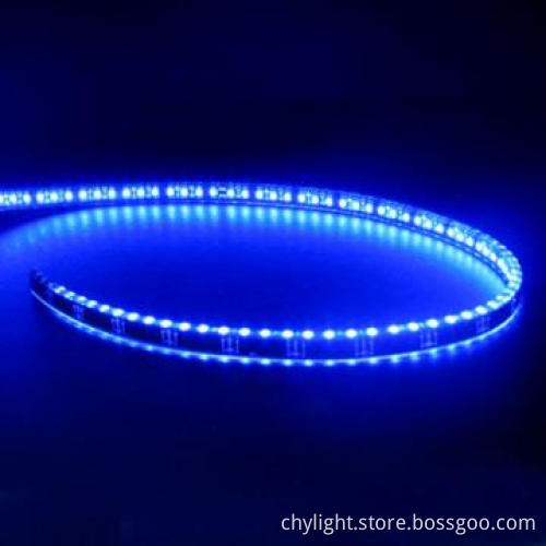 12V Decorative Light , 12V/24V LED Strip Light